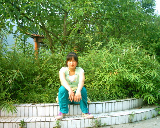 2006  (31)